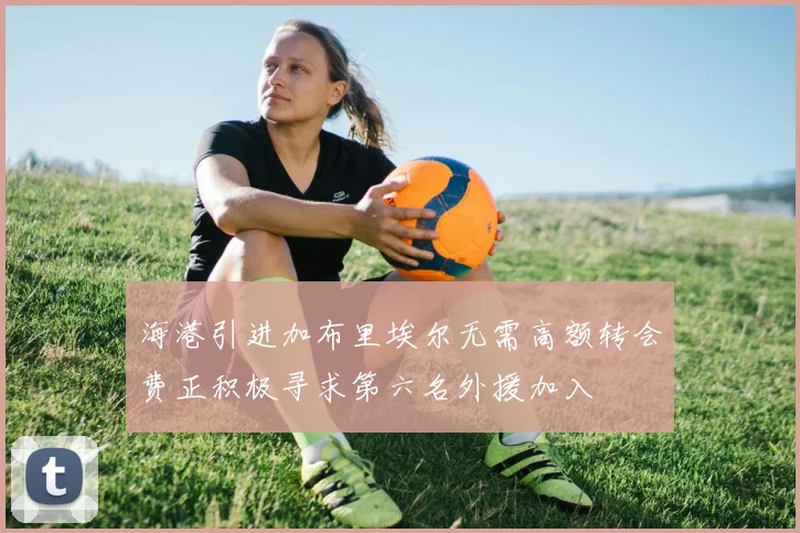海港引进加布里埃尔无需高额转会费正积极寻求第六名外援加入