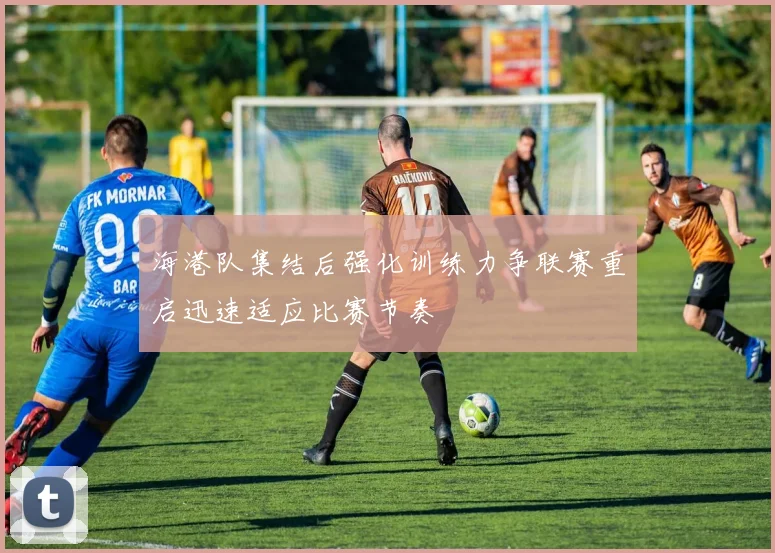 海港队集结后强化训练力争联赛重启迅速适应比赛节奏