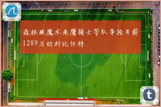 森林狼魔术老鹰骑士等队争抢年薪1289万的科比怀特