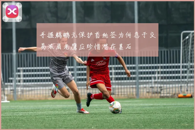 手握鹈鹕无保护首轮签为何急于交易浓眉老鹰应珍惜潜在基石