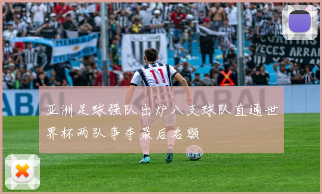 亚洲足球强队出炉八支球队直通世界杯两队争夺最后名额