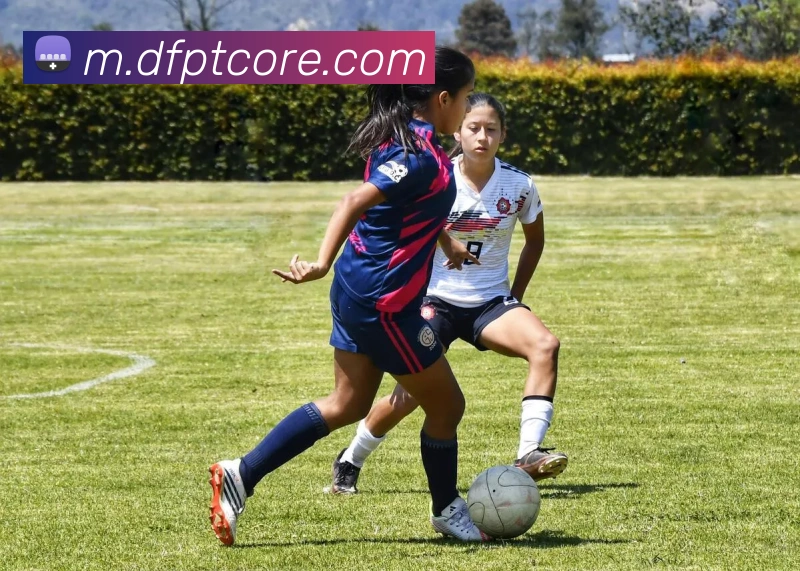 大发平台APP 封面图